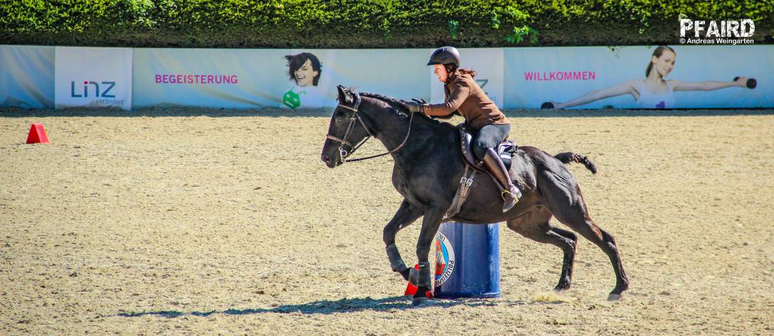 speed-8103.jpg speed-8103.jpg