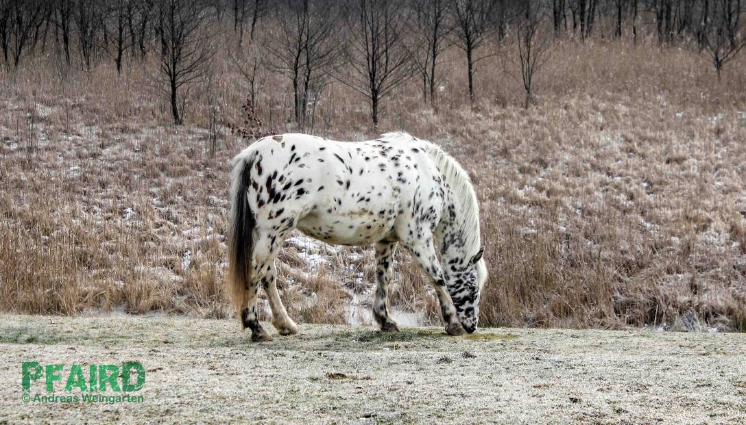 samira-4398.jpg samira-4398.jpg