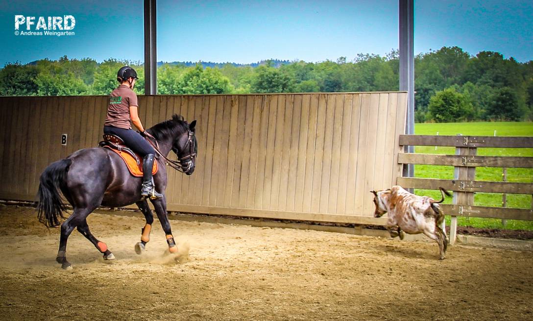 rinderkurs-6617.jpg rinderkurs-6617.jpg