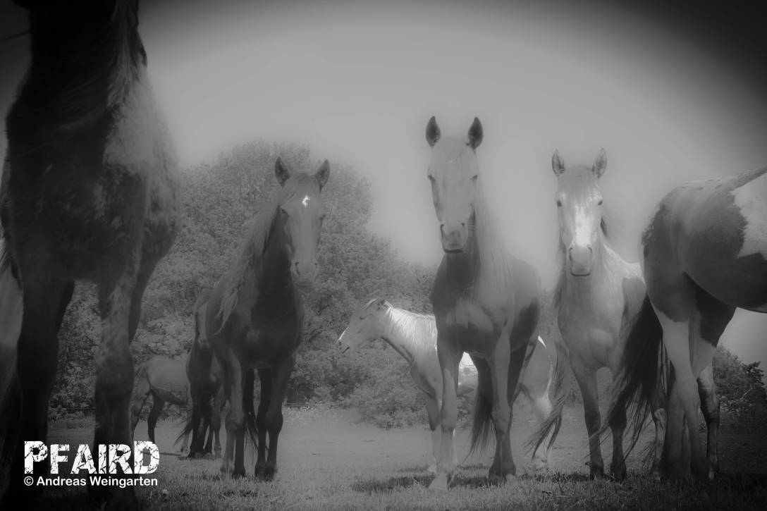 rip-041.jpg rip-041.jpg