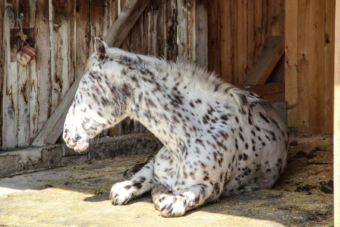 samira-0990.jpg samira-0990.jpg