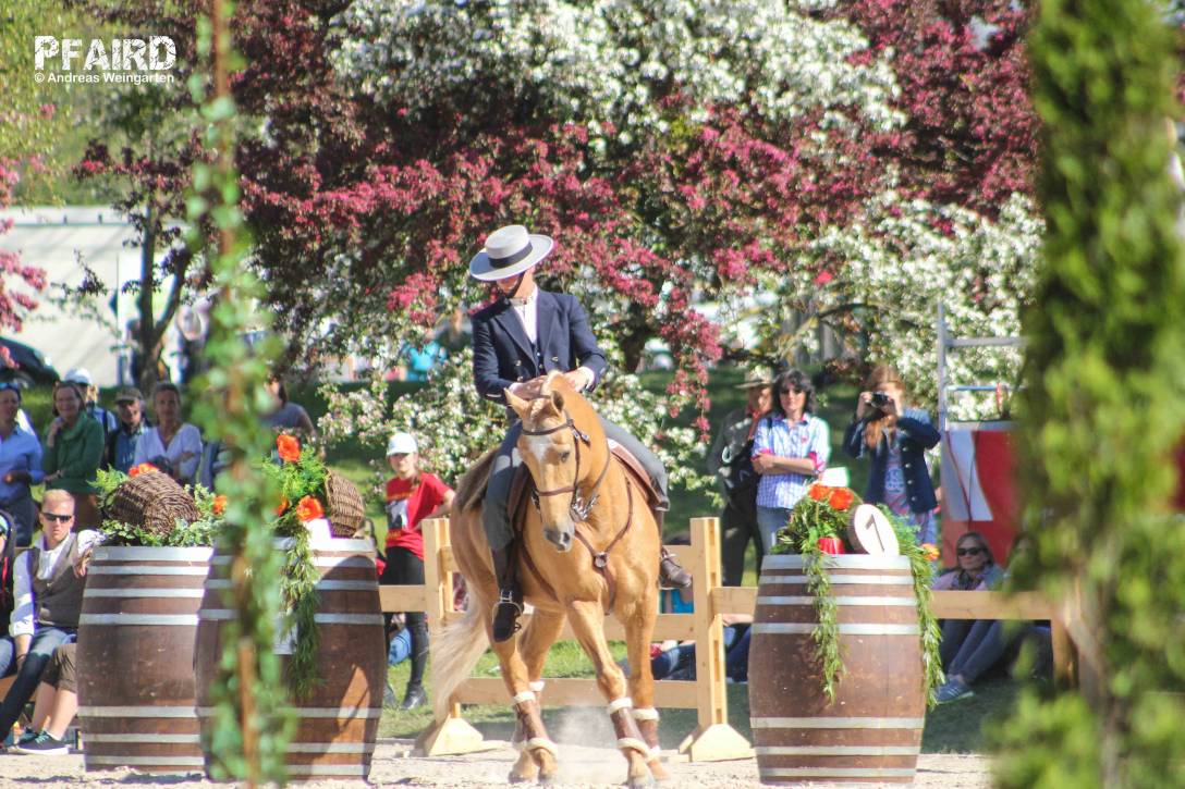 we-9517.jpg we-9517.jpg