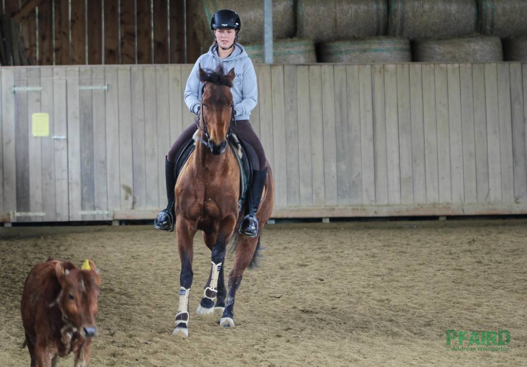 lisa-5850.jpg lisa-5850.jpg