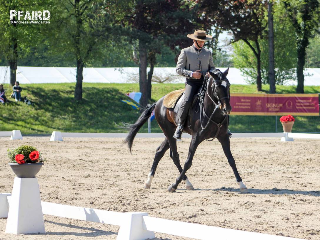 we-8703.jpg we-8703.jpg