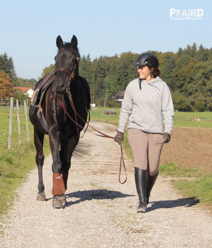 joya-1-2.jpg joya-1-2.jpg